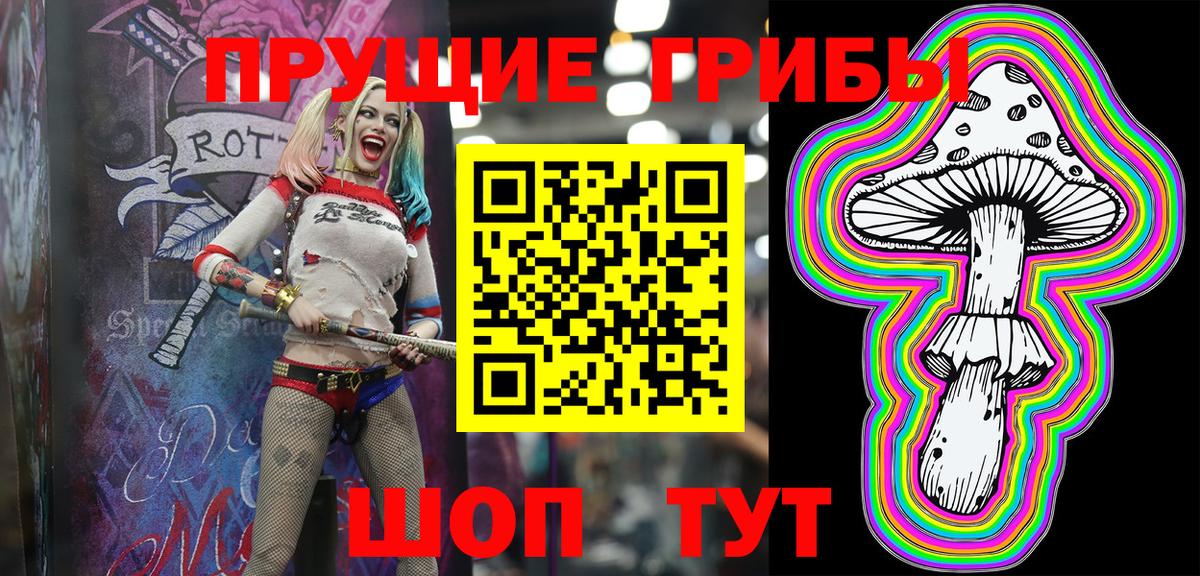 Псилоцибиновые грибы Psilocybine cubensis Кизляр