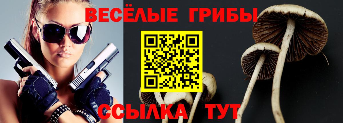 Кизляр  Галлюциногенные грибы прущие грибы  Вход с VPN 